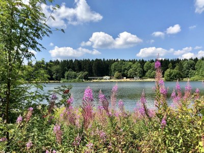 Holiday house Ferienhaus in Clausthal-Zellerfeld mit Terrasse - Environment photo 17