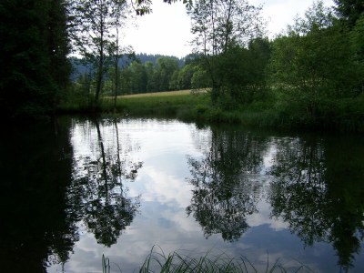 Holiday house Messmer - Environment photo 25