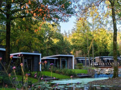 Holiday park Forest-View Tiny House - Outdoor photo 21