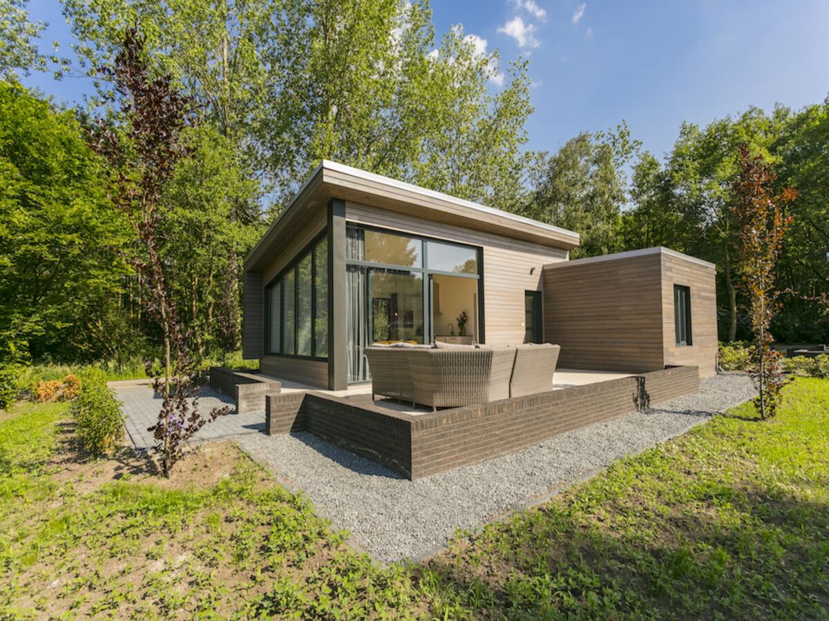 Holiday park Modern Forest Chalet