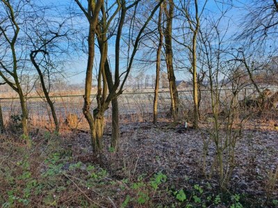 Holiday park Apartment in Netherlands with Scenic Meadows - Environment photo 11