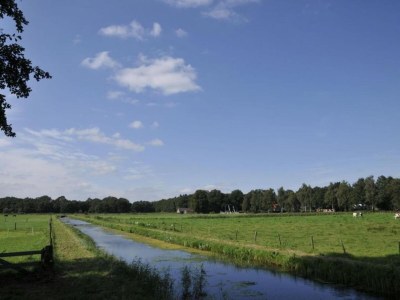 Holiday park Apartment in Netherlands with Scenic Meadows - Environment photo 13