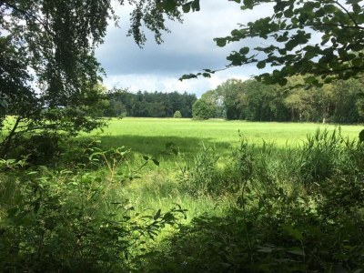 Holiday park Apartment in Netherlands with Scenic Meadows - Environment photo 15
