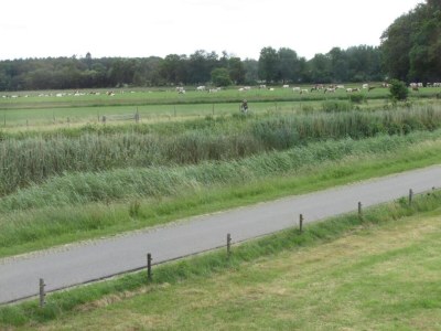 Holiday park Chalet in den Niederlanden mit Wiesenblick - Environment photo 27
