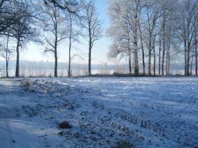 Holiday park Chalet in den Niederlanden mit Wiesenblick - Environment photo 29