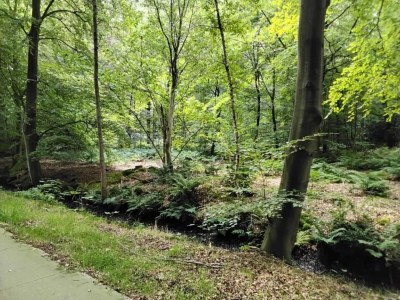 Holiday park Villa in Friesland mit Wassersteg - Environment photo 20