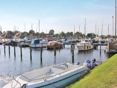 Holiday park Villa in Friesland mit Wassersteg - Environment photo 26