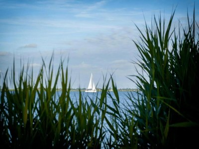 Apartment Apartment Sneekermeer Natur 2 PAX 1 Von Belvilla - Environment photo 25