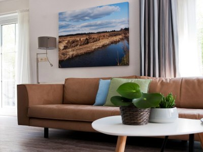Holiday house Bungalow near De Alde Feanen Reserve - Features photo 12