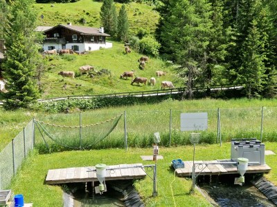 Apartment Gamsberg - Outdoor photo 3