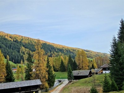 Apartment Ferienwohnung Lärchenwald - Outdoor photo 35