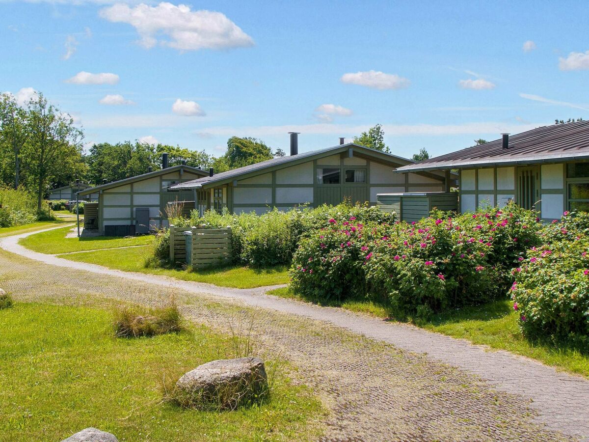Holiday park Ferienhaus für 6 Personen in Gilleleje - Outdoor photo 3