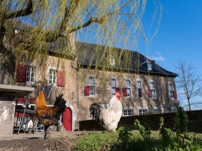 Apartment Landwohnung mit Aussicht - Outdoor photo 27