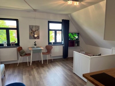 Apartment Studio in Dargun mit Pool am Kummerower See - Features photo 16