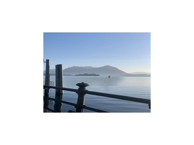 Holiday house Apartment in Baveno with Lake Maggiore Views - Environment photo 32