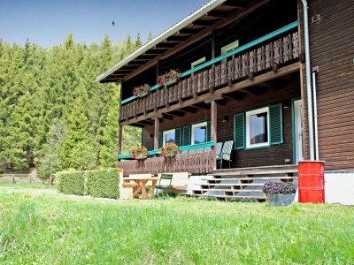 Chalet Premium Chalet in Innerkrems mit Sauna - Outdoor photo 7