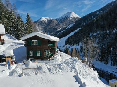 Chalet Premium Chalet in Innerkrems mit Sauna - Outdoor photo 10