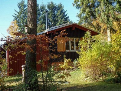 Holiday house Waldrandwohnung - Outdoor photo 3