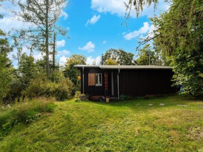 Holiday house Waldrandwohnung - Outdoor photo 13