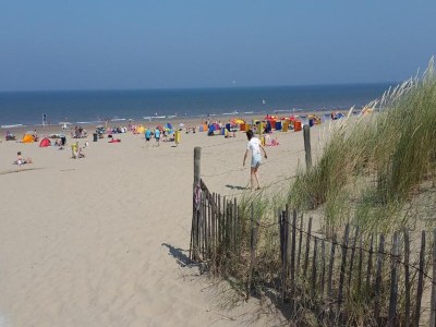 Holiday park Holiday Home in Noordwijk with Sunny Garden - Environment photo 40