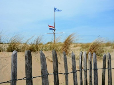 Holiday park Holiday Home in Noordwijk with Sunny Garden - Environment photo 41