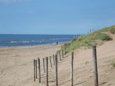 Holiday park Holiday Home in Noordwijk near the Beach - Environment photo 27
