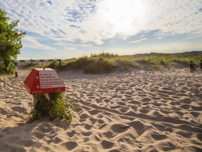 Holiday park Holiday Home in Noordwijk near the Beach - Environment photo 28