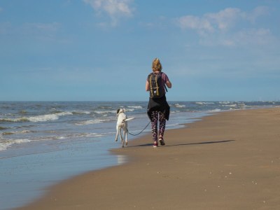 Holiday park Chalet in Noordwijk nahe dem Strand - Environment photo 33