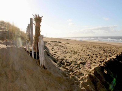 Holiday park Chalet in Noordwijk nahe dem Strand - Environment photo 38