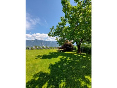 Holiday apartment Farm Turmwirt - Gala - Outdoor photo 17