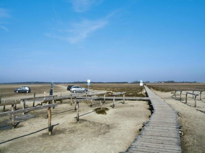 Apartment Apartment in St.Peter-Ording mit Terrasse - Environment photo 19