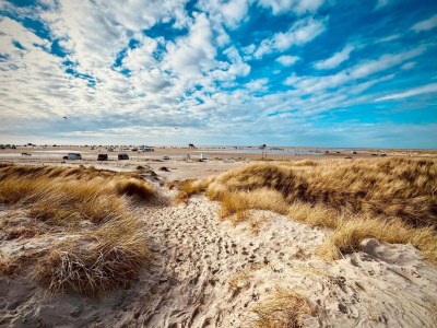 Apartment Ferienwohnung in St.Peter-Ording - Environment photo 37