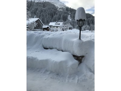 Farmhouse Holiday apartment Leitner "Pony-Goat-Rabbit Ranch" No. 2 - Environment photo 20