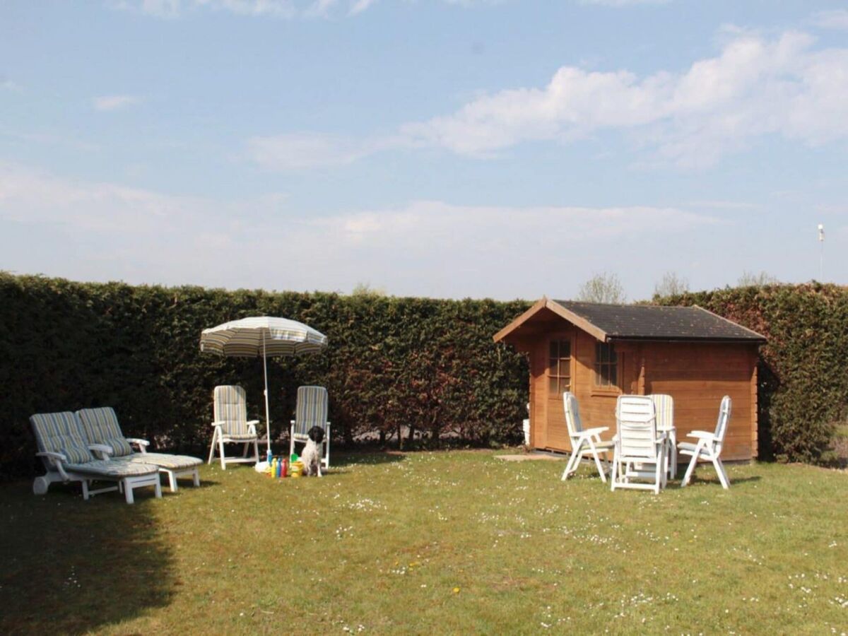 Holiday house Bungalow in Breskens near Beach and Lighthouse - Outdoor photo 4