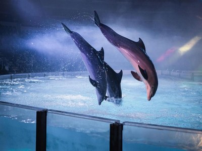 Holiday house Bungalow in Zeeland with Stunning Waterside Views - Environment photo 20