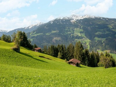 Apartment Apartment in Distelberg near Ski Slopes - Environment photo 35