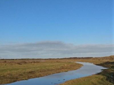 Holiday park Spacious Texel Family Homes - Environment photo 35
