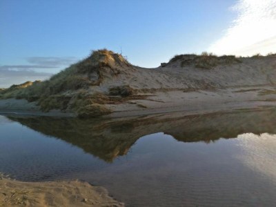 Holiday park Spacious Texel Family Homes - Environment photo 38