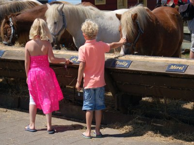 Holiday park Gemütlicher Küstenurlaubsort Texel - Outdoor photo 32