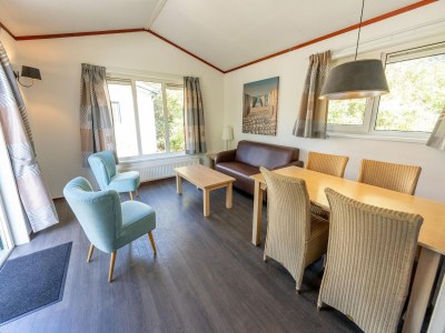 Holiday park Chalet in Netherlands with Open Garden - Features photo 6
