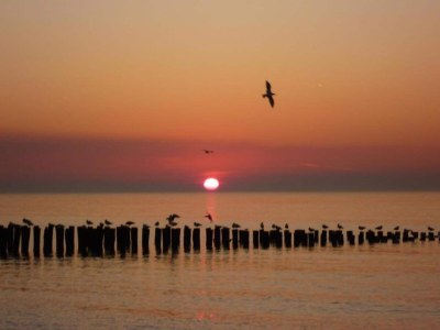 Holiday park Wohnung in Domburg nahe Strand - Environment photo 41