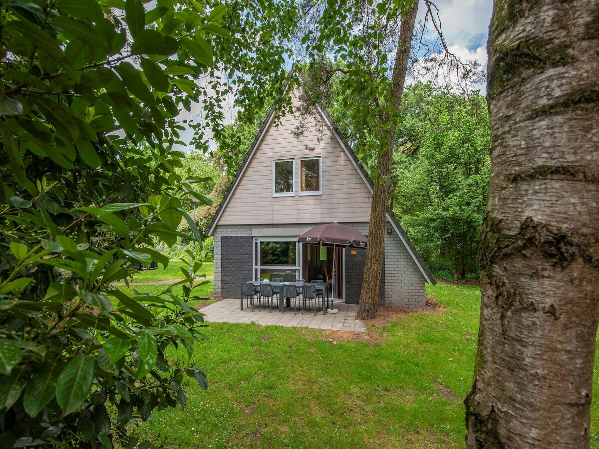 Holiday park Woodland Retreat near Breda - Outdoor photo 2