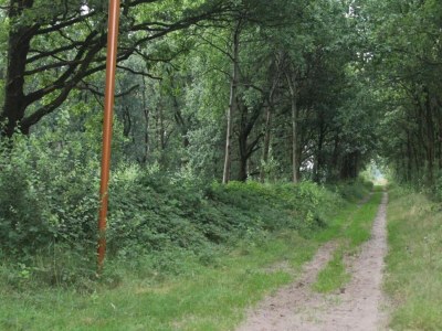 Holiday park Bungalow bei Breda & De Biesbosch - Environment photo 8