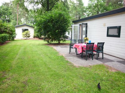 Holiday park Private Chalet in the Woods - Outdoor photo 2