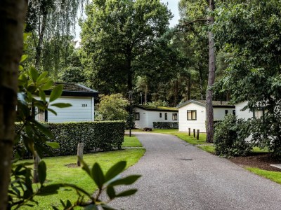 Holiday park Private Chalet in the Woods - Outdoor photo 39