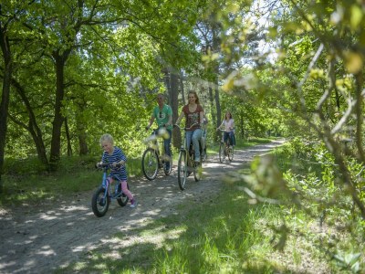 Holiday park Spacious bungalow near the Hunebedcentrum - Environment photo 12