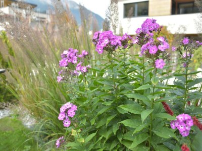 Apartment Apartment in Fulpmes near Stubai Glacier - Outdoor photo 38