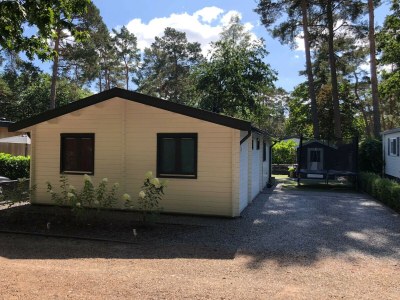 Chalet BPW 1155 - Bospark Wolfsven in Mierlo - Chalet