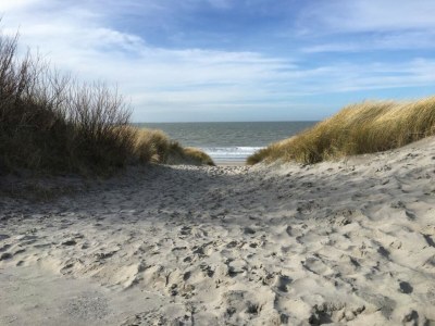 Chalet RBR 118 - Beach Resort Kamperland - Environment photo 18