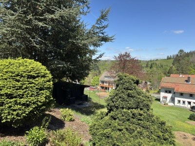 Apartment Ferienwohnung mit weitem Ausblick in Altenau - Outdoor photo 6
